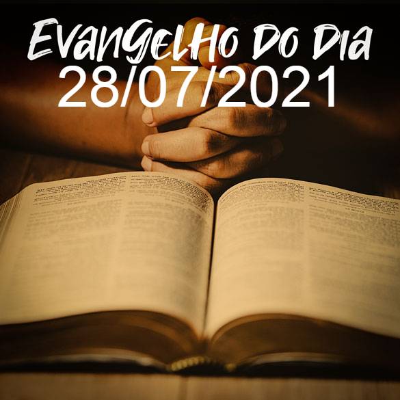 Evangelho do dia | Evangelho do dia | Mateus 13,44-46