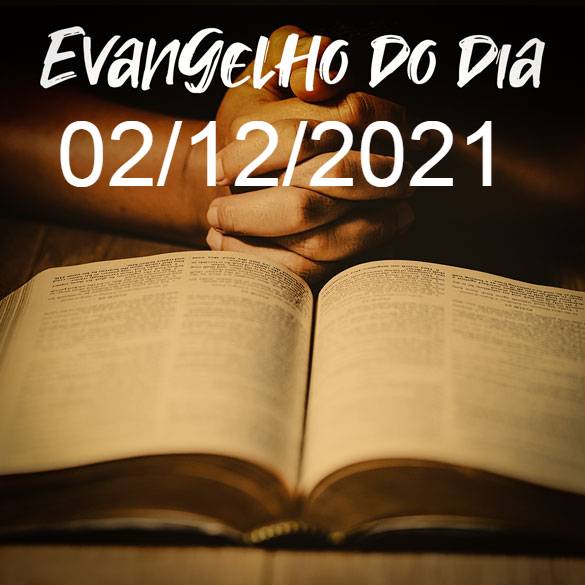 Evangelho do dia | Mateus 7,21.24-27