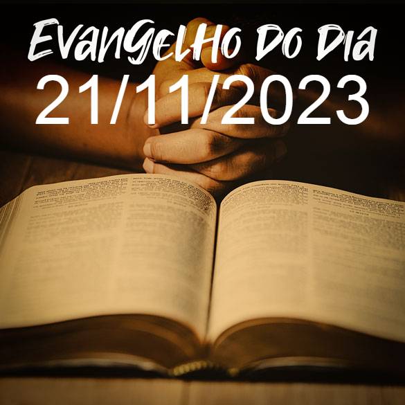 Evangelho do dia | Mateus 12,46-50